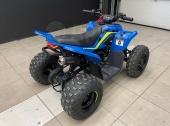CFMoto CForce 110 EFI