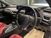 Lexus UX250h