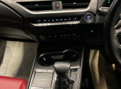 Lexus UX250h