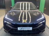 Lotus Eletre