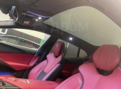 Lotus Eletre