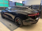 Lotus Eletre