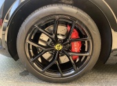 Lotus Eletre